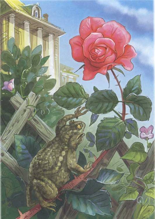 Cказка о жабе и розе — сказка в.м. гаршина
