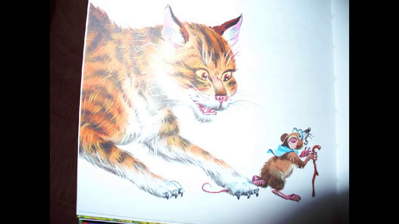 Сказка джанни родари: про мышь, которая ела кошек