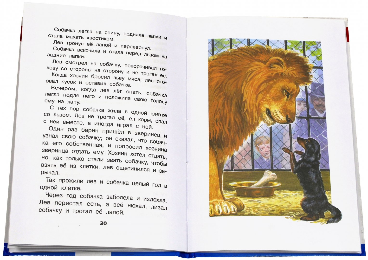 Читать сказку сказки про шакала и льва - арабская сказка, онлайн бесплатно с иллюстрациями.