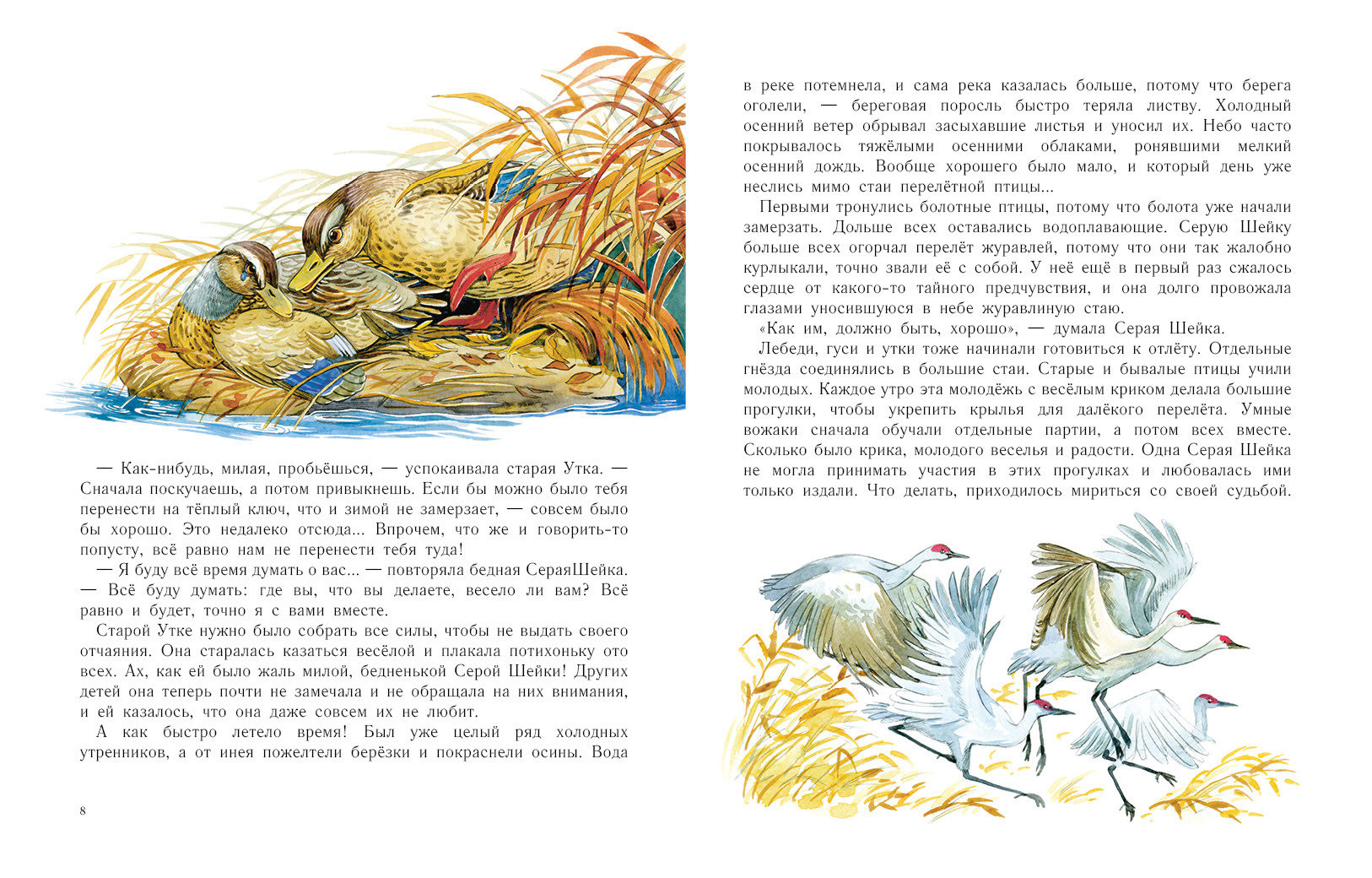 Читать сказку серая шейка - дмитрий мамин-сибиряк, онлайн бесплатно с иллюстрациями.