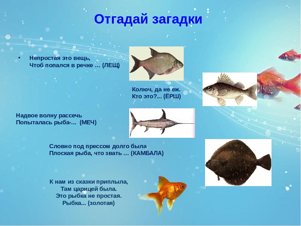 Стихи про рыб для детей 4-5-6 лет - справочник педагога