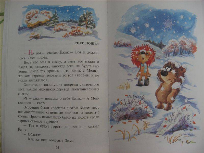 Снежный цветок сказка Козлова. Песня в лес приходит сказка снег фонк