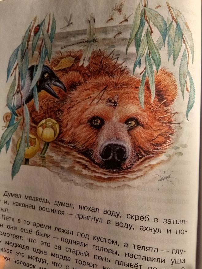 Читательский дневник «дремучий медведь» константина паустовского