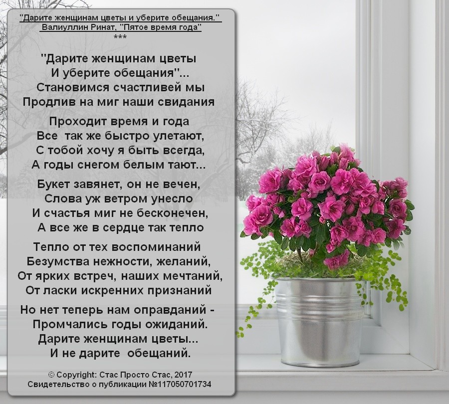 Стихи про цветы: весенние, полевые, садовые, короткие, красивые, русских классиков и современных поэтов Дарите женщинам цветы