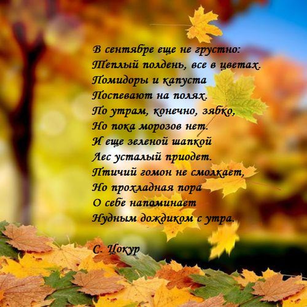 Стихи про осень для детей 2 класса (короткие, русских поэтов) | всё для праздника