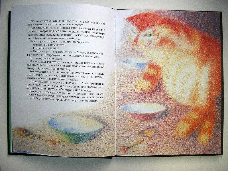 Сказка кот ворюга паустовский
