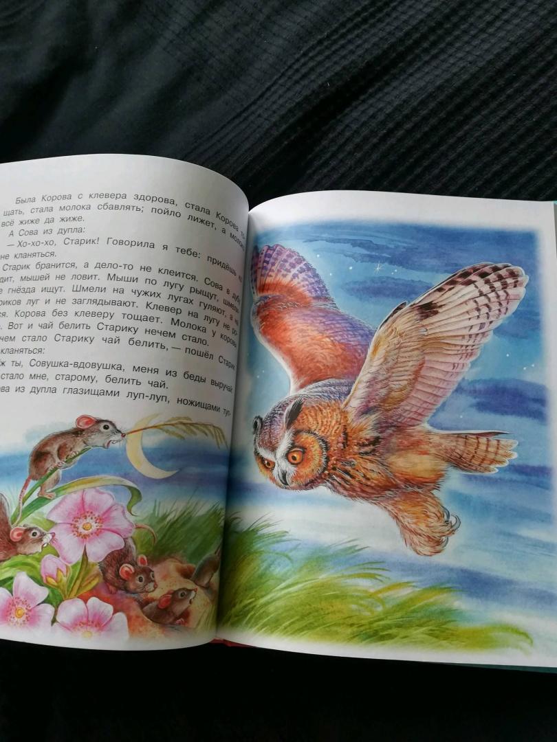 Бианки мышонок пик читать полностью. Бианки в. "мышонок пик сказки". Иллюстрации к сказке мышонок пик Виталия Бианки.