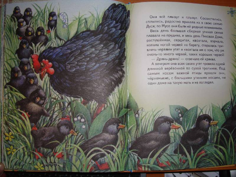 М.пришвин рассказы о природе, о животных для детей читать онлайн
