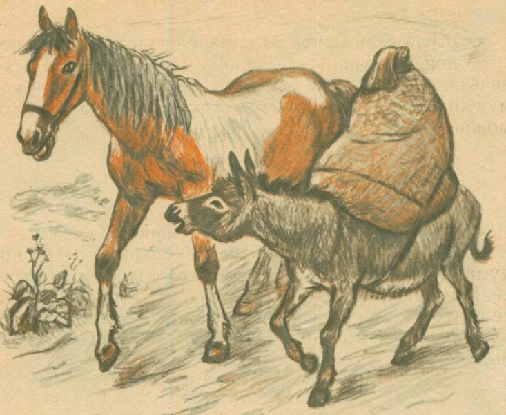 «лошадь и осёл» иван хемницер: читать текст, анализ, мораль басни