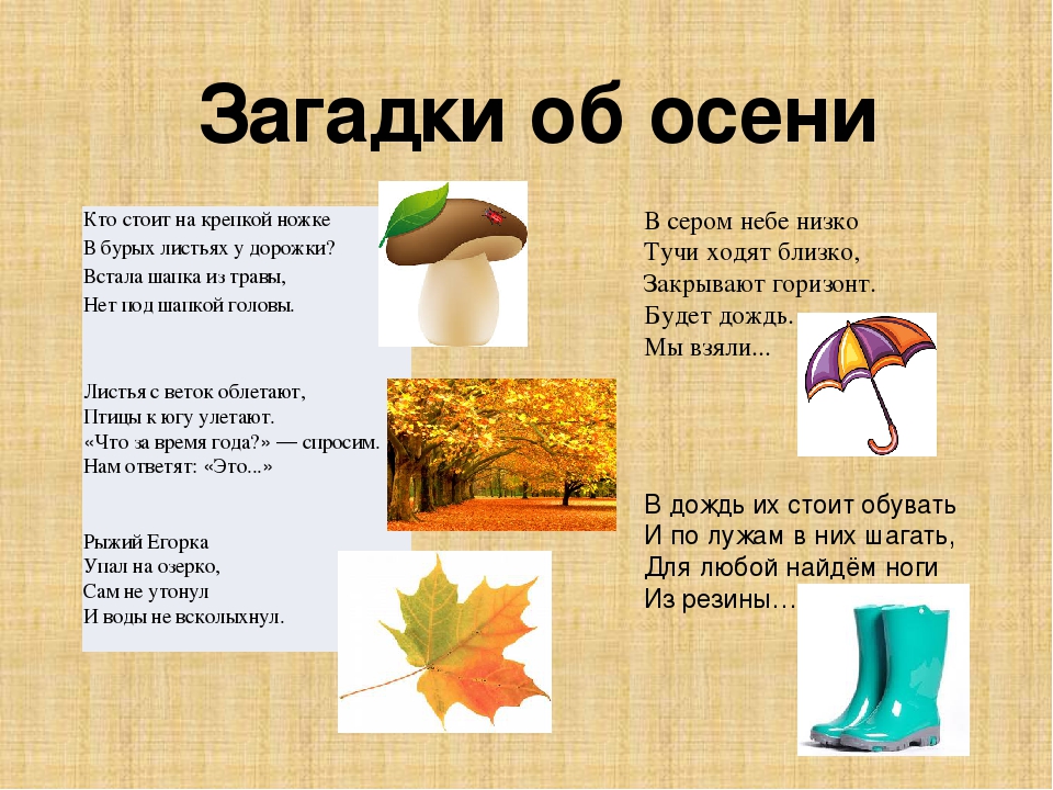 Загадки про листья для детей с ответами, про кленовые, осенние листья, про лес и дождь