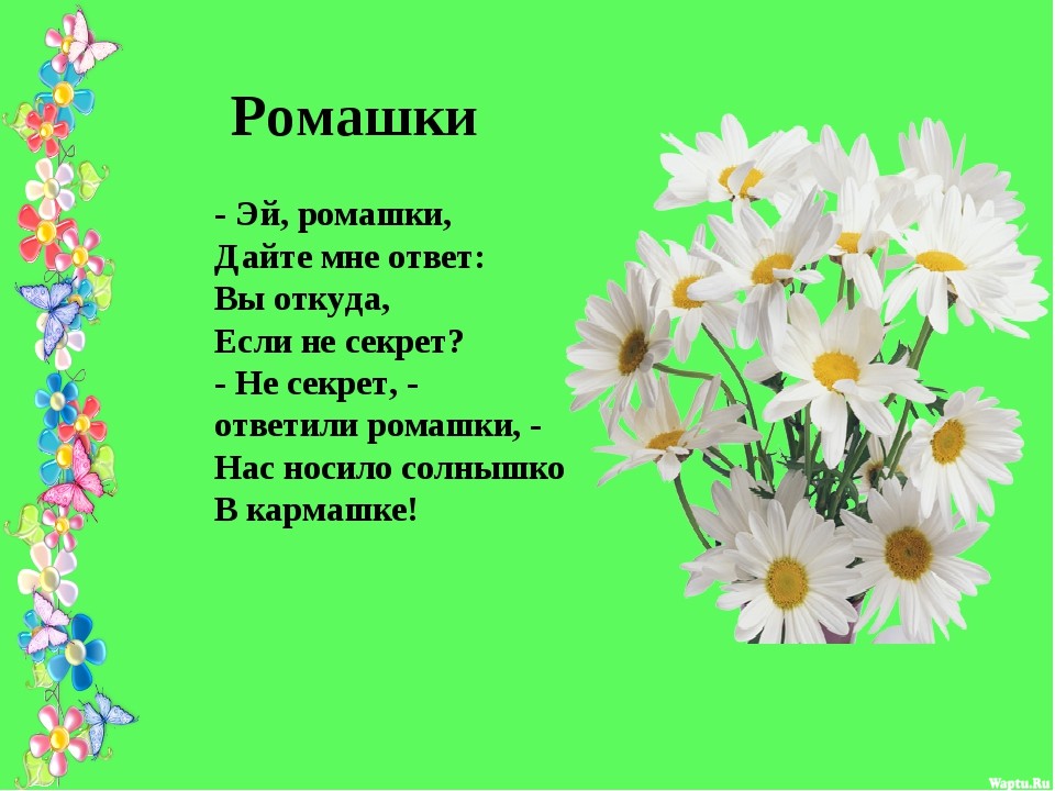 Стихи про цветы для детей | красивые короткие стихи про цветы