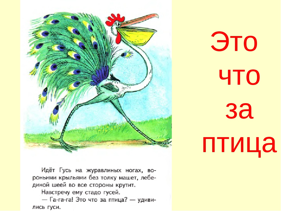 Сказка это что за птица? — сутеев в.г. с иллюстрациями автора.