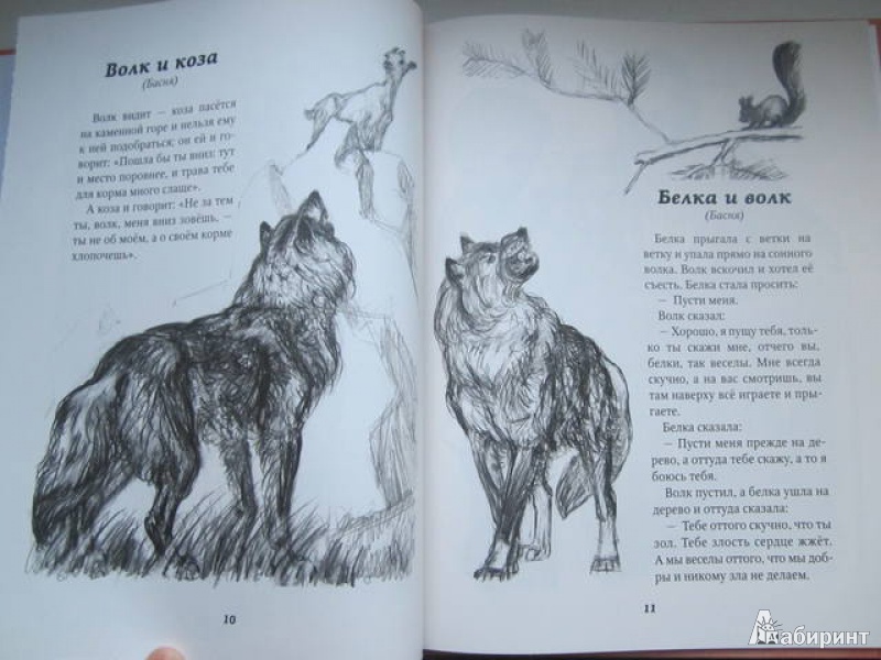 Косточка скачать epub, fb2 книгу толстого льва николаевича, читать онлайн