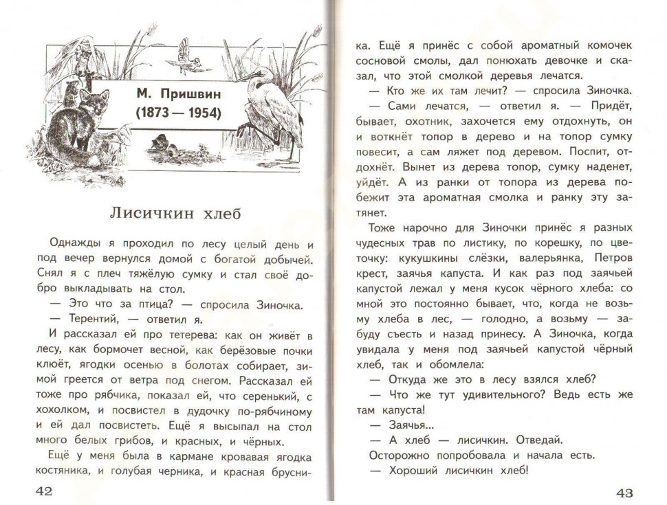 Лесные сказки - сладков н. - разные сказки: читать с картинками, иллюстрациями - сказка dy9.ru