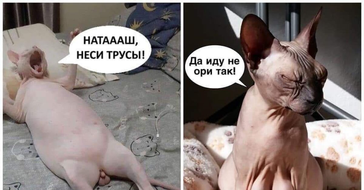 Почему нельзя запрещать ребёнку злиться и обижаться