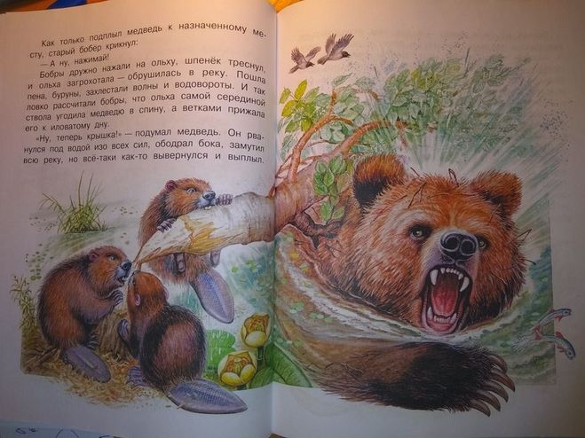 Константин паустовский ★ дремучий медведь читать книгу онлайн бесплатно
