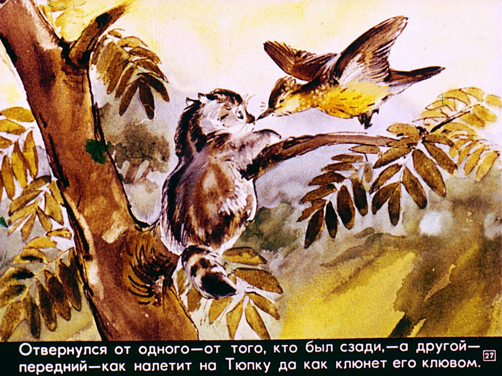 Евгений чарушин: почему тюпа не ловит птиц читать онлайн бесплатно