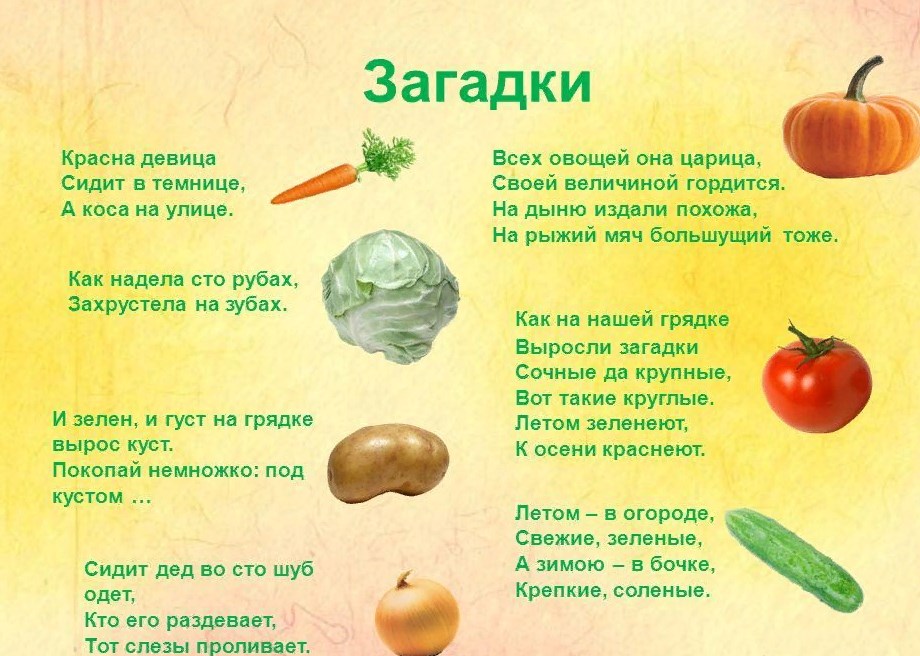 Загадки про картошку для детей 3-4, 4-5, 6-7, 8-9-10 лет с ответами и про картофель фри