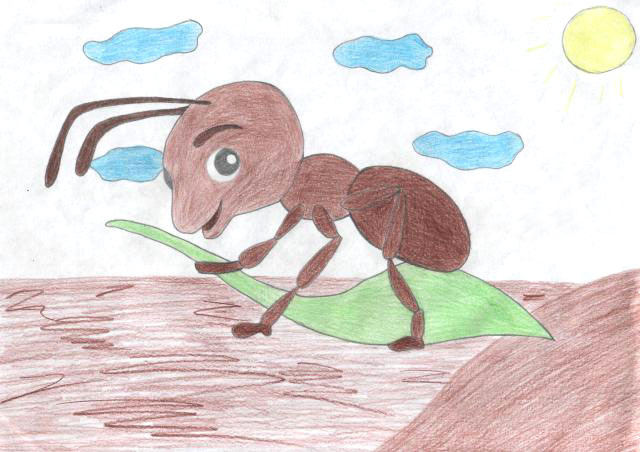 Как муравьишка домой спешил в. в. бианки  рассказ с иллюстрациями