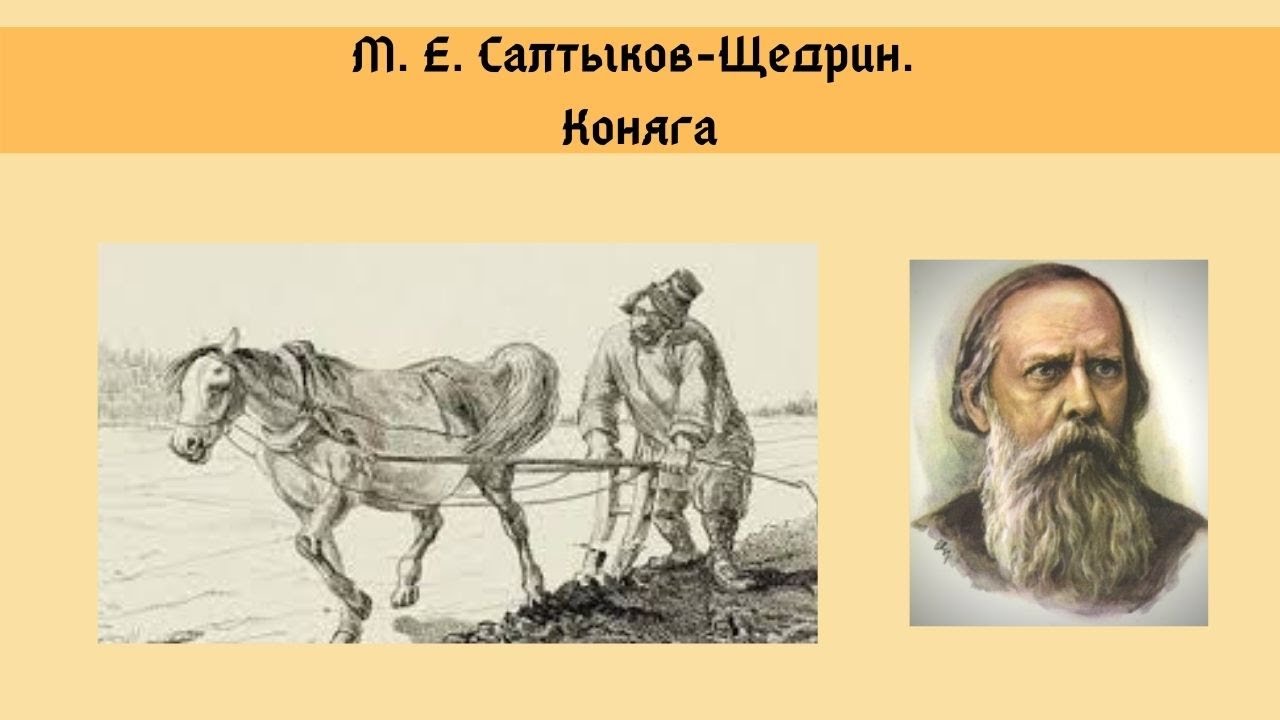 Читательский дневник «коняга» михаила салтыкова-щедрина
