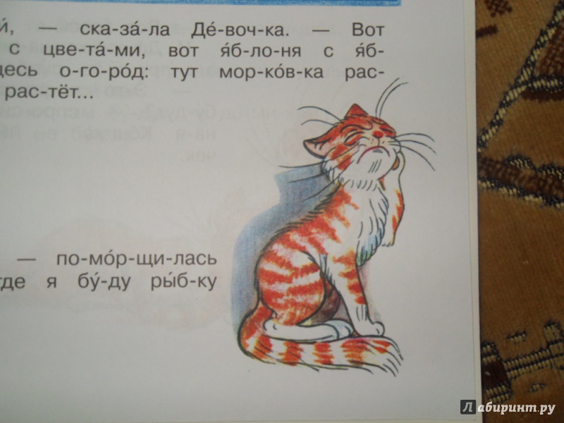 Владимир сутеев ★ капризная кошка читать книгу онлайн бесплатно