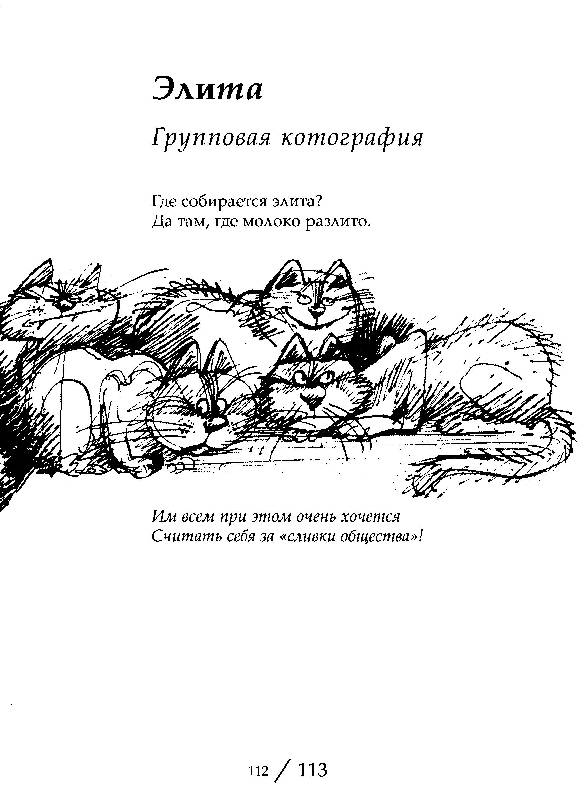 Внеземное происхождение кошачьего мира | крамола