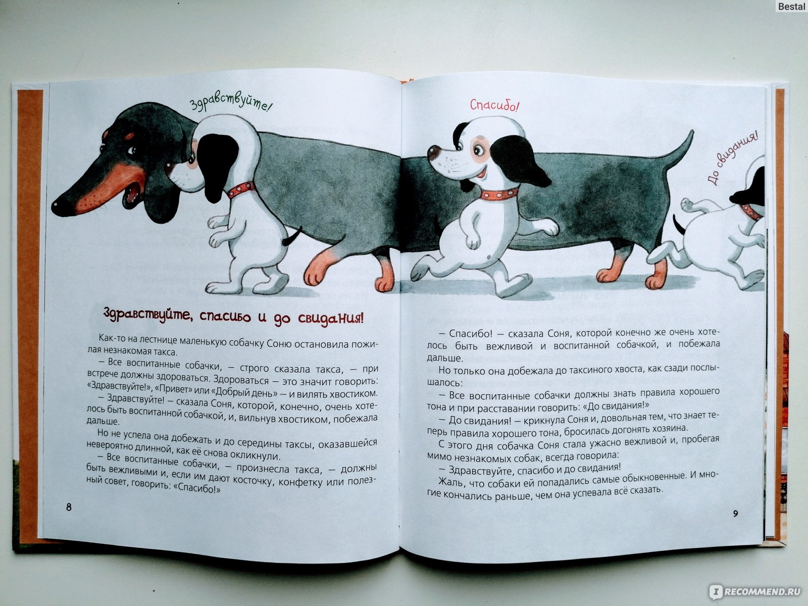 Книга про соню. Детская книга про собаку. Детские книги про собак. Сказка про собаку.