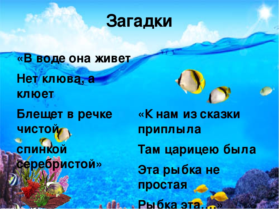 Загадки про черное море для детей. загадки - морская тема. игры с оригами
