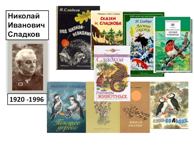 Серия «русская литература хх века»