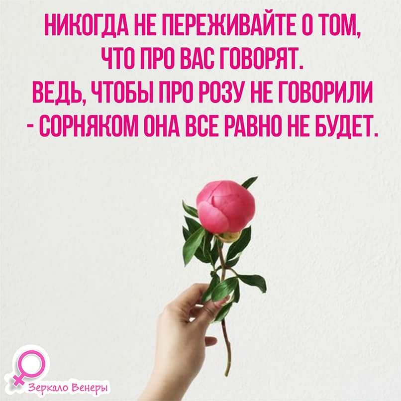Стихи о розах | antrio.ru