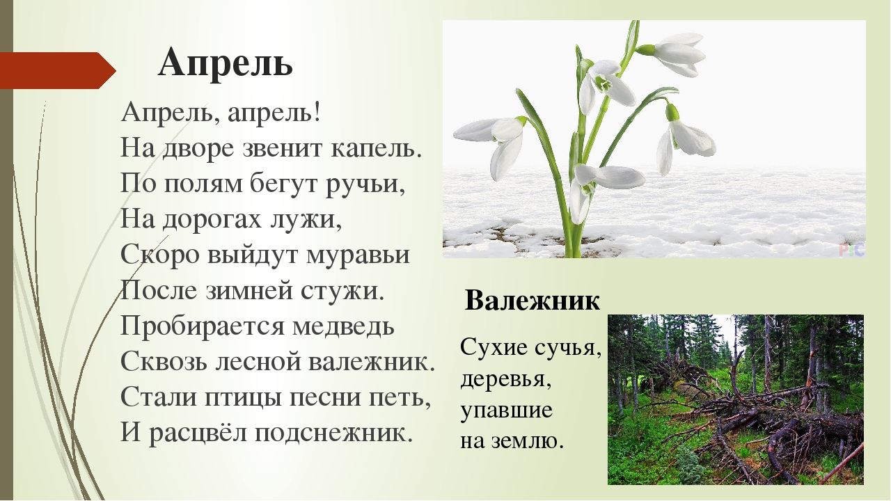 Стихи про апрель | antrio.ru