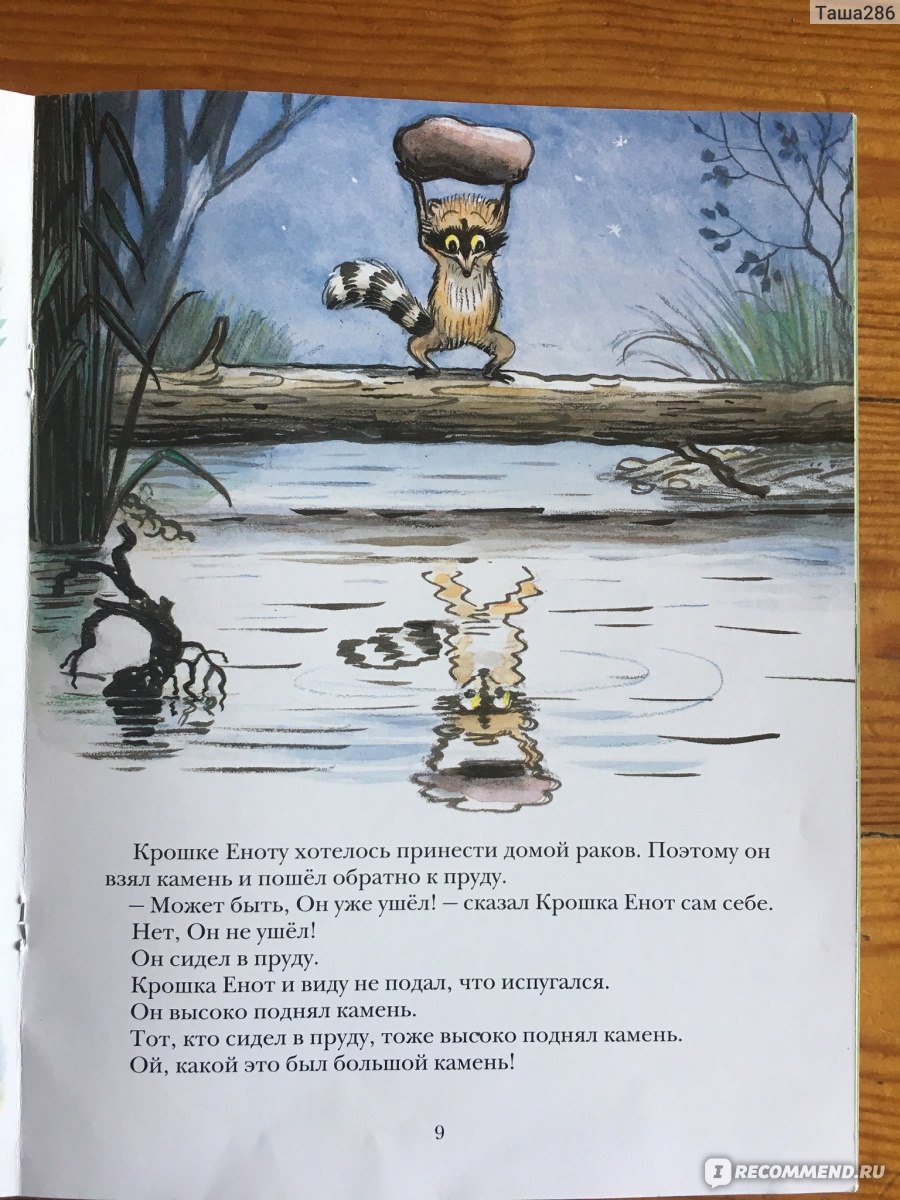 Сказка крошка енот и тот, кто сидит в пруду - лилиан муур скачать бесплатно или читать онлайн | сказки на agakids