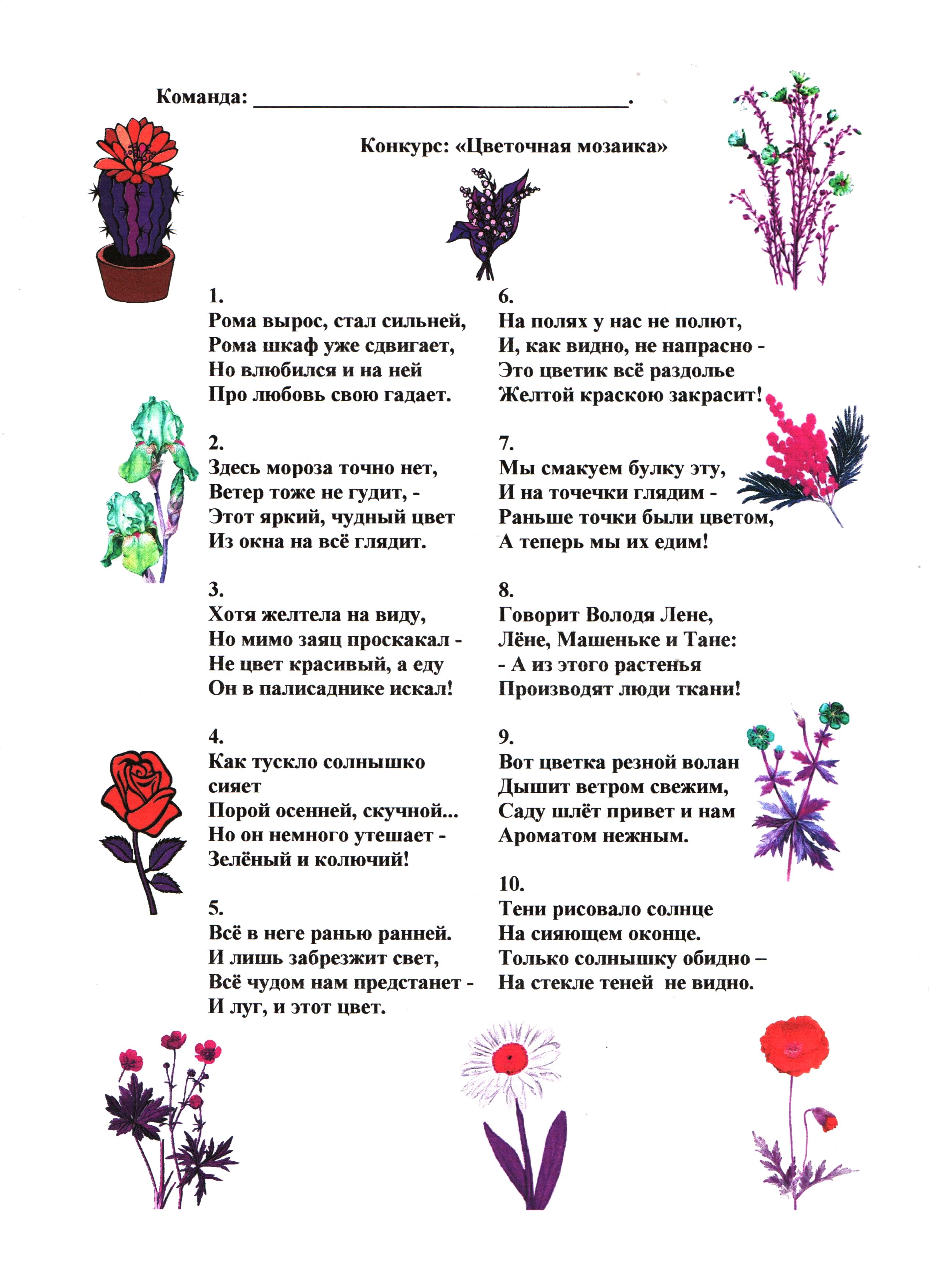 Детские загадки про цветы: комнатные, полевые, луговые и садовые. загадки с ответами про лекарственные травы и растения