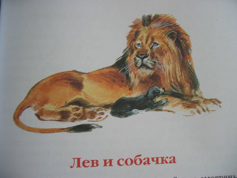 Краткое содержание «лев и собачка»