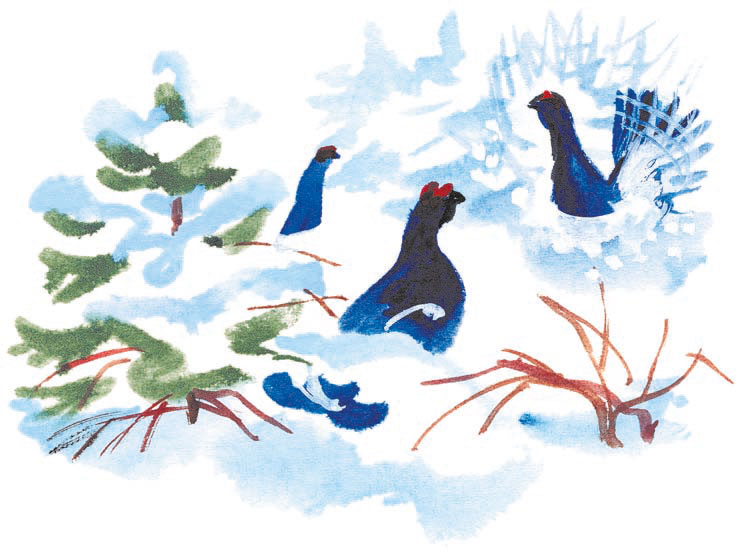 Птицы под снегом *