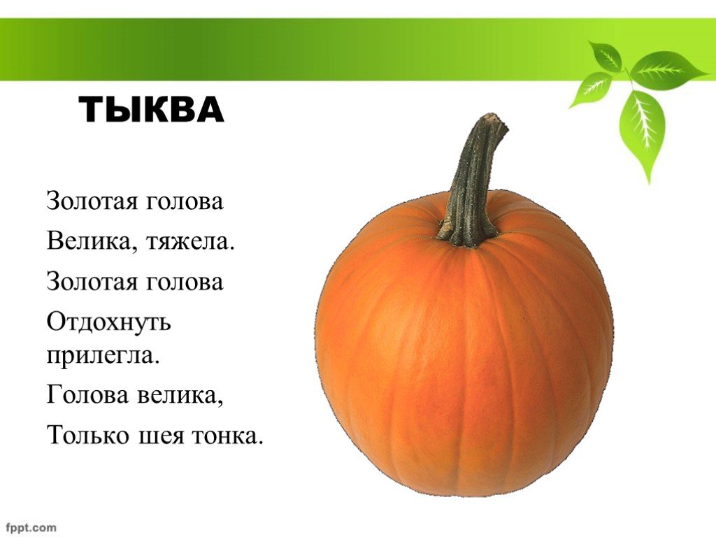 Загадки про овощи с ответами: большая подборка для детей из 150 загадок, простых и сложных / mama66.ru