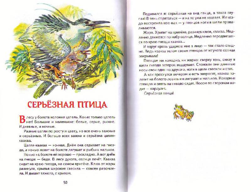 Читать сказку лесные сказки - сладков н. - отечественные писатели, онлайн бесплатно с иллюстрациями.