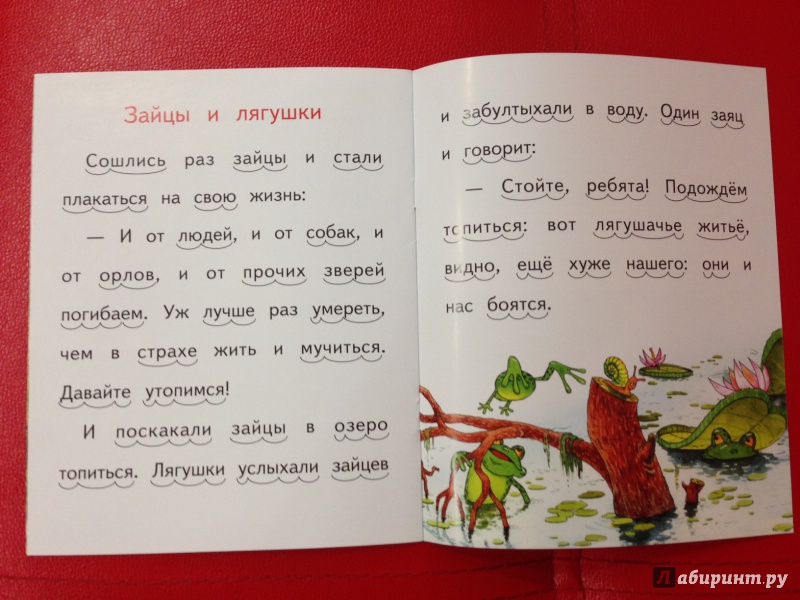 Урок литературы на тему «л.н. толстой. зайцы» | doc4web.ru