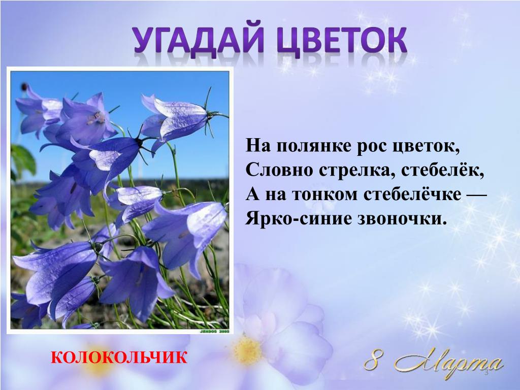 Алексей толстой 📜 колокольчики мои, цветики степные