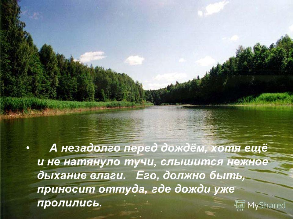 План рассказа паустовского какие бывают дожди