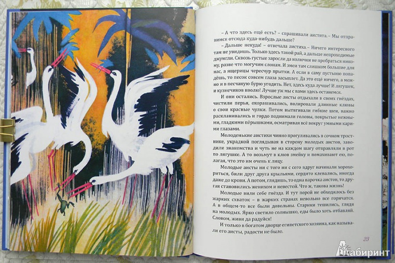 Аисты - сказки андерсена: читать с картинками, иллюстрациями - сказка dy9.ru