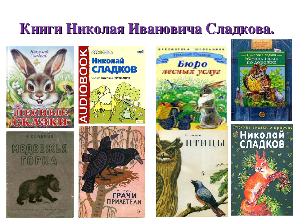 Лесные сказки - николай сладков » 📚 книгомир - бесплатная онлайн библиотека | читать книги онлайн бесплатно и без регистрации