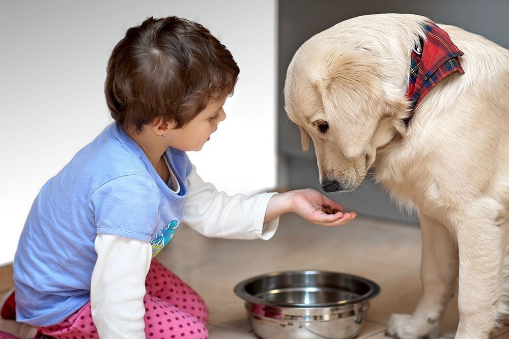 Как воспитать в ребенке чувство ответственности за домашнее животное