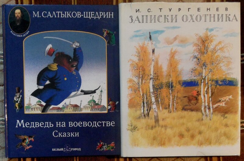Краткое содержание медведь на воеводстве салтыкова-щедрина для читательского дневника, читать краткий пересказ онлайн