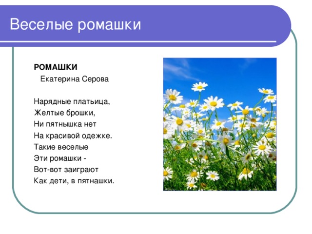 Стихи про ромашку для детей 3-4, 5, 6-7 лет: короткие, красивые, нежные, о ромашках полевых русских поэтов