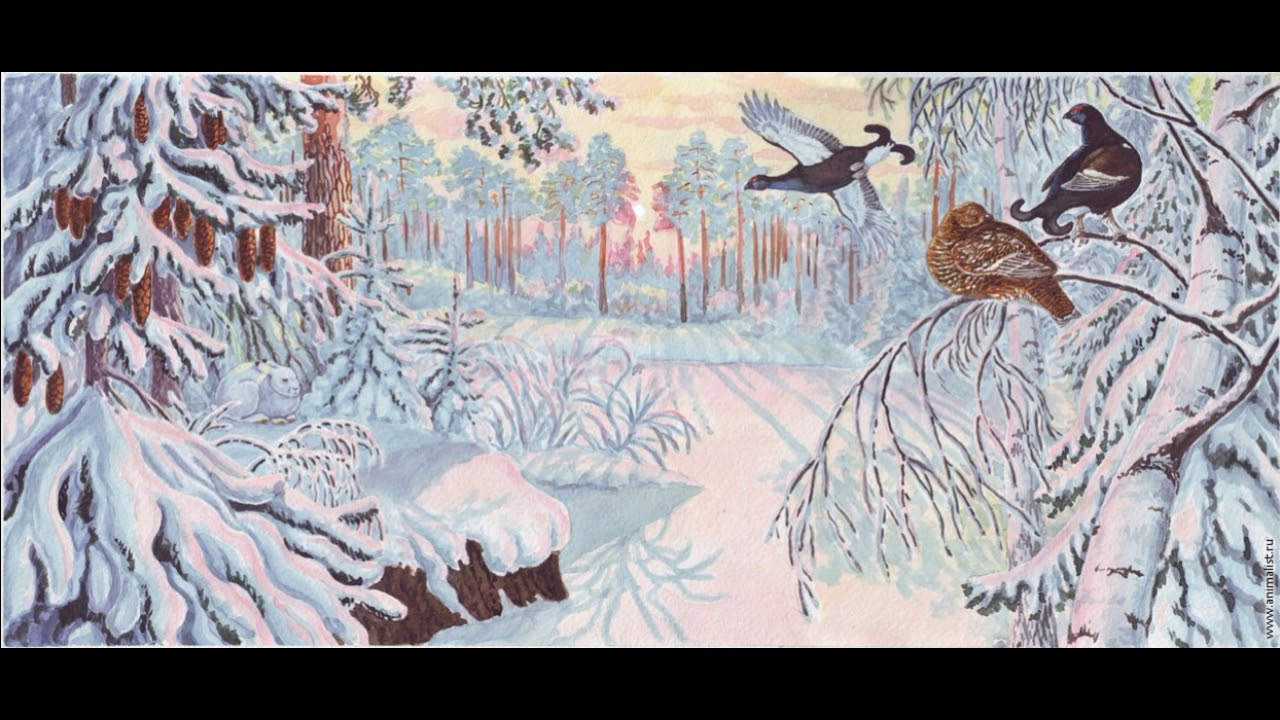 Читать онлайн книгу птицы под снегом - михаил пришвин бесплатно. 1-я страница текста книги.