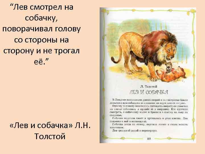 Толстой лев рассказ «лев и собачка»