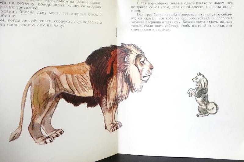 Анализ рассказа «лев и собачка» (л.н. толстой)