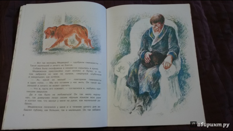 Книга медведко - читать онлайн - страница 1. автор: мамин-сибиряк дмитрий наркисович. все книги бесплатно