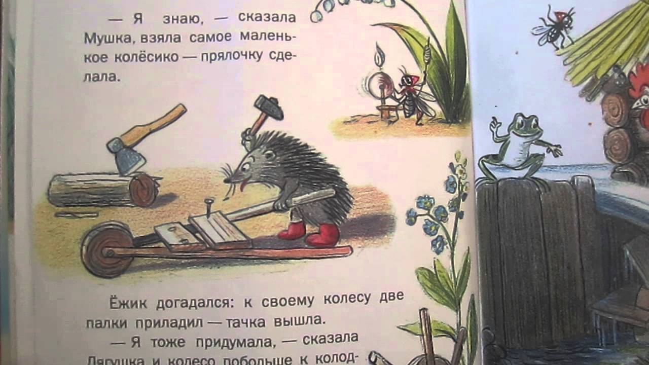 Разные колёса — сказка владимира григорьевича сутеева